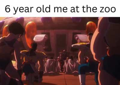 i like monkey they are funny AF