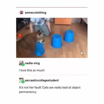 Gotcha