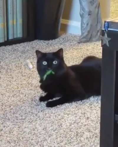 Flef