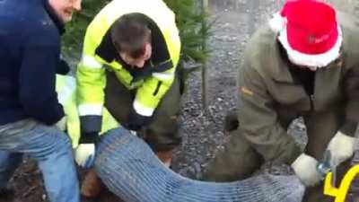 WoOd ChIppEr pRaNk gOne WrOnG R.I.P.