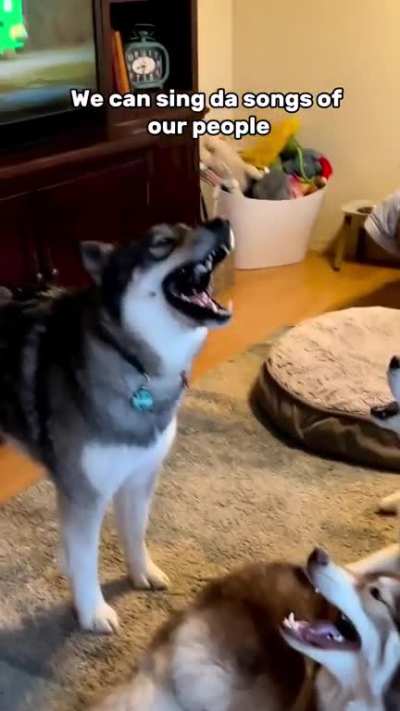 AAAAAAAAAAAAAAAAAAAAAAAAAAAAAA