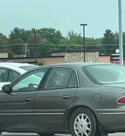 Good ol&rsquo; central Wisconsin