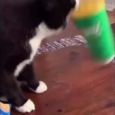 Weee