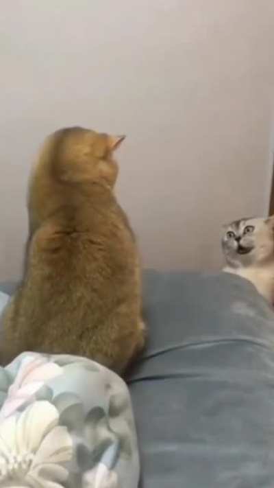 I&rsquo;m sure it&rsquo;s possessed