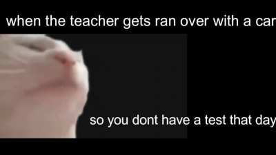 yay no test today