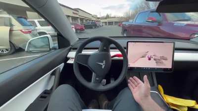 "Patience Peasant, please wait for my Auto Pilot to correct itself."