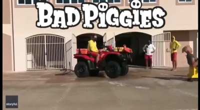 Crazy Dave x Bad Piggies