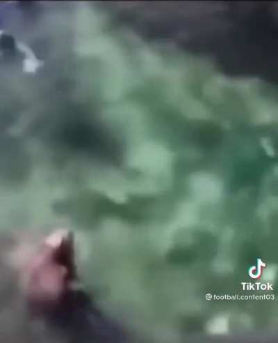 Seal enjoying fish