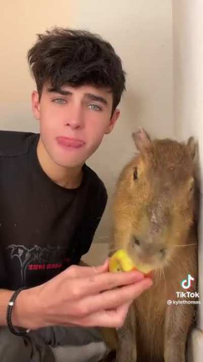 He monch and cronch