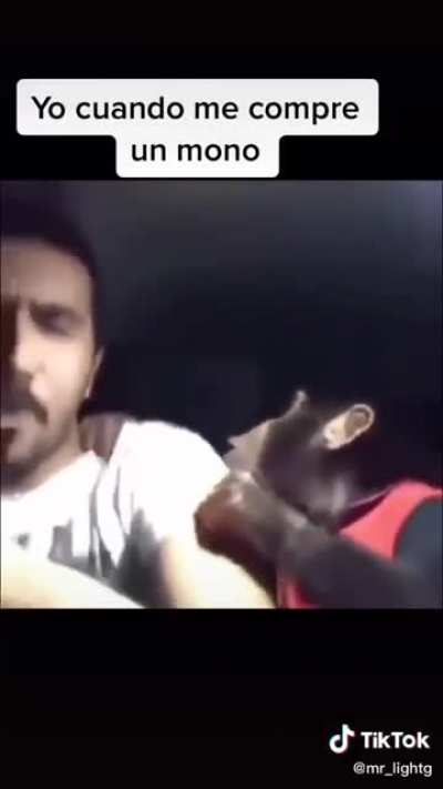 Orson cuando juega con los panameños😎🤙