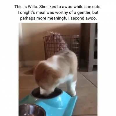 woof_irl