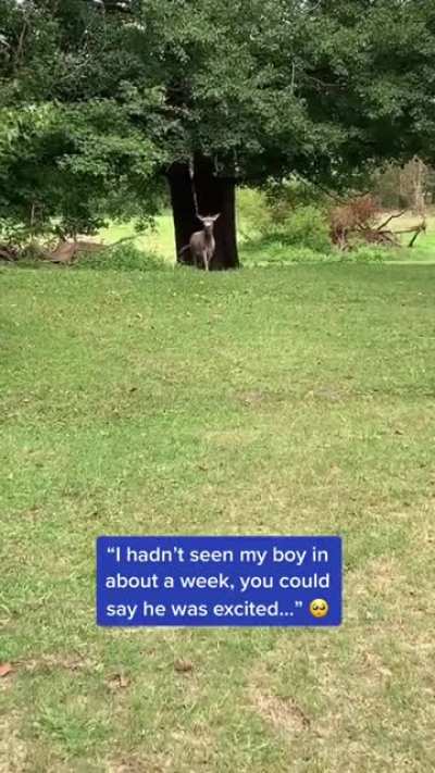 Where have you been!
