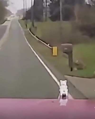 Semi-truck brakes fail behind a school bus.. you can hear the panic and fear in the semi driver&rsquo;s voice!