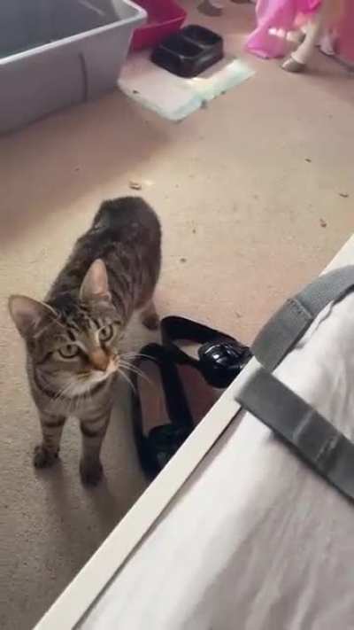 What is that?