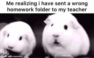 Oh shit