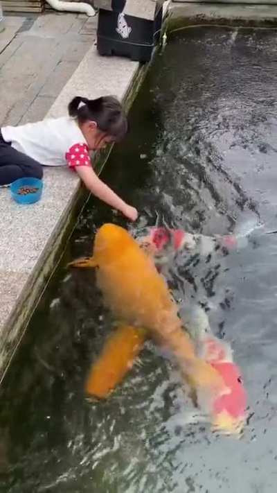 Oh lawd he swimmin'