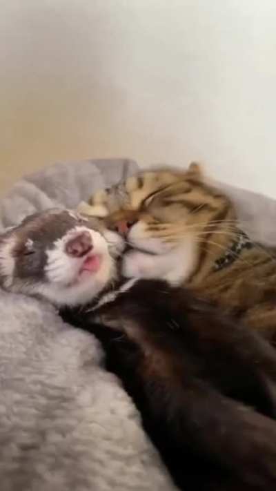 Warm and soft
