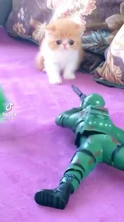 Full hali diğer &ccedil;&ouml;p olmuş