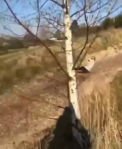 HMF as i basically hover with a zipline