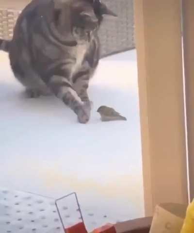 Oh lawd he fallin