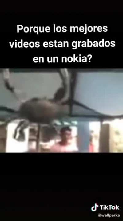 Un bur&oacute; facebdo pa