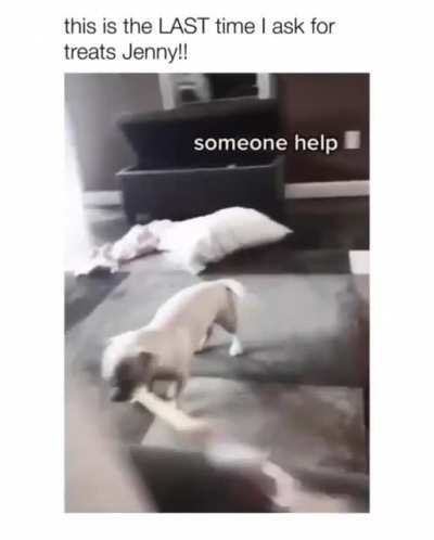Hitdog ups his game