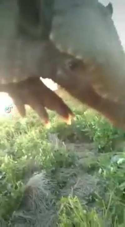 Mi pana julio simplemente va a los pedos 😎👍espero volver a verte