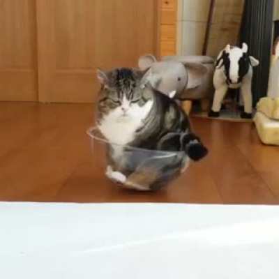 I'll just sit here