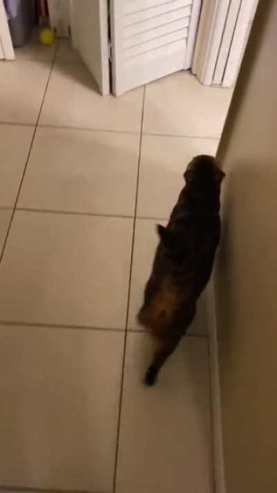 Every morning when she hears the baby awake she makes sure she lets me know it&rsquo;s time to get him.