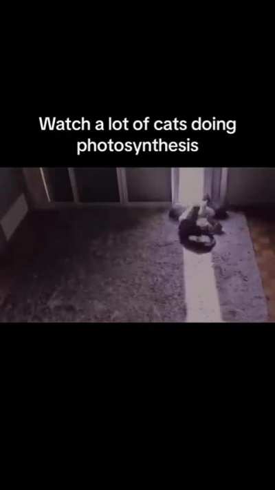 Pmsbdosbdksndjshsfthosjosunkus
