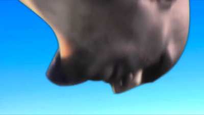 Guiris ser como: