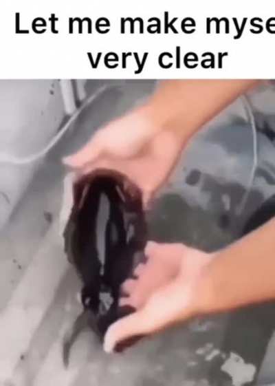 &zwj;