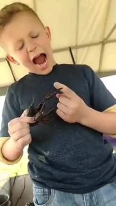 OOOOOOOOOWWWWWWWW