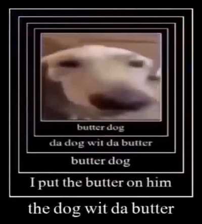 HOOLY SHITTT BUETRR DOGG WIT DA BUTETR OK N HIN🤪😜🤪🤪😜🤪🤪😺😺😺