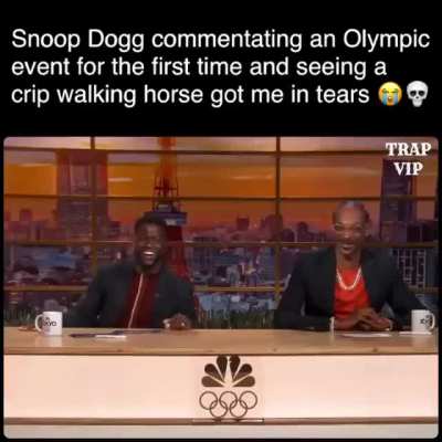 That&rsquo;s some horse
