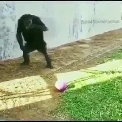 LE PEGOOOOO