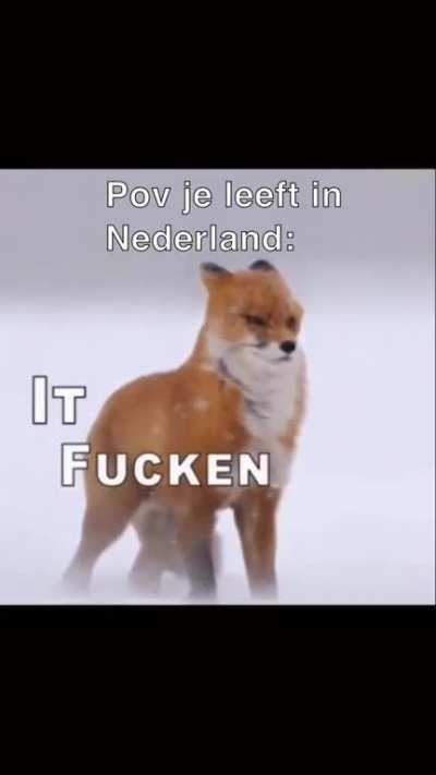 Ik💨ihe