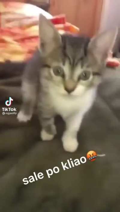 Dylan conoce a Michi