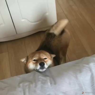 good morning! :3