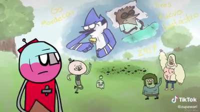 Increible mapache