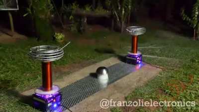 Magina se pega nozoio
