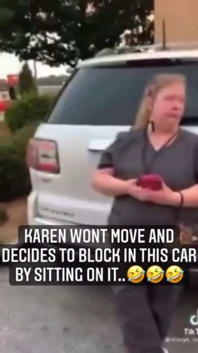 The Commentary on This Karen