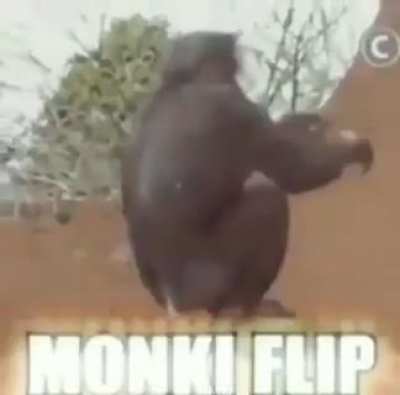 Monky Flip😎👌