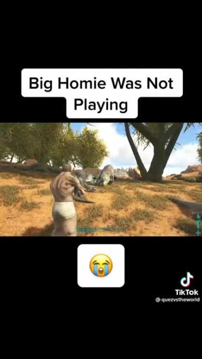he poked the bear
