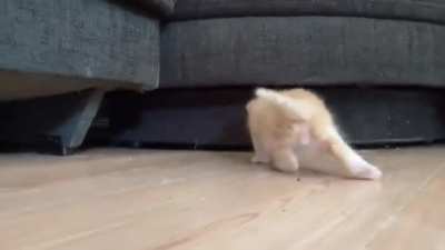 Criminal caught training for escape