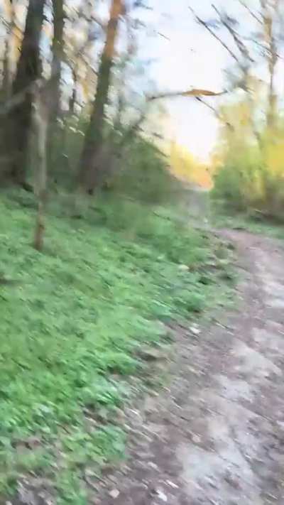 Богат и разнообразен животный мир Польши