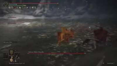 Malenia is the hardest boss in any FS games after this buff, it cause me headache!!