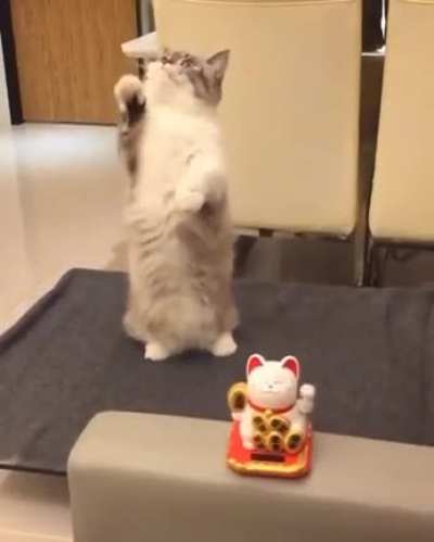 smile and wave big bro is here