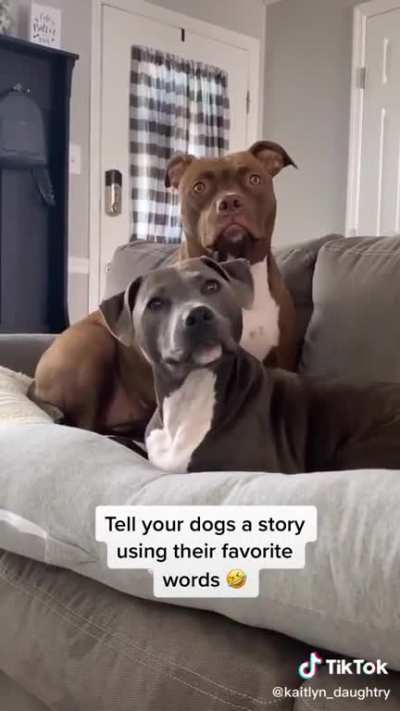 Grandma&rsquo;s good boys