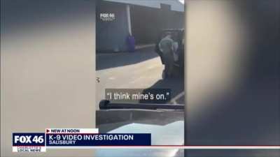 Salisbury K-9 officer viscously picked up by its collar and slammed against a cruiser + follow up
